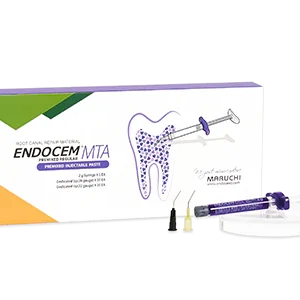 ENDOCEM MTA PREMIXED REGULAR (2g)